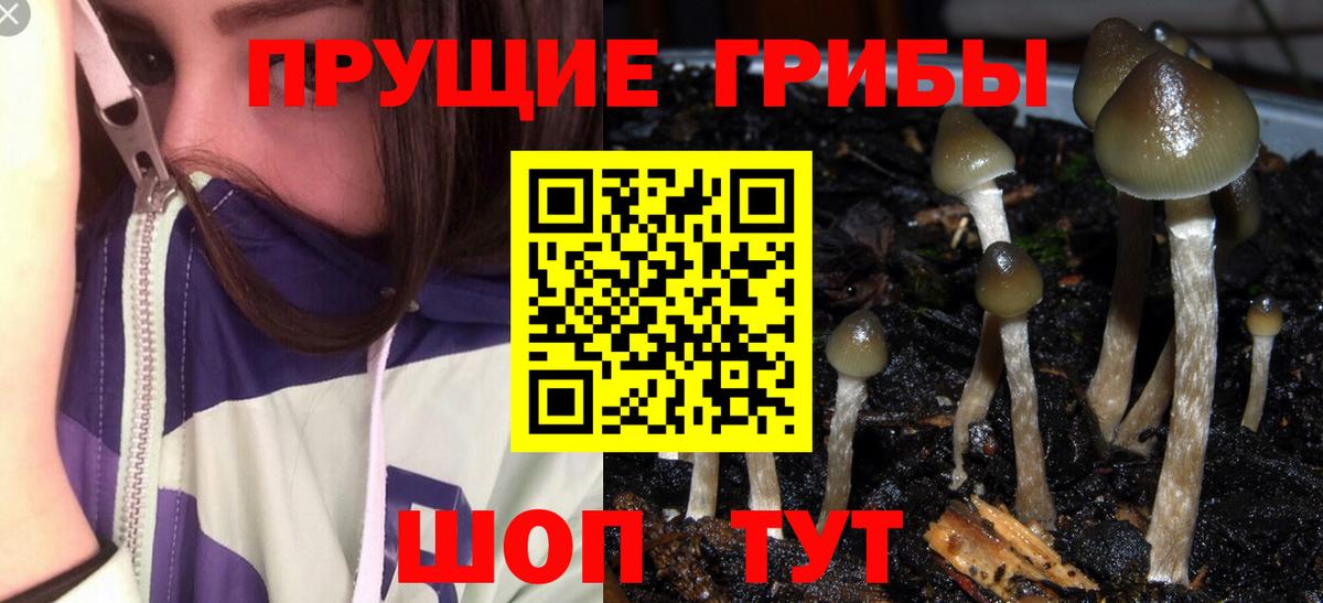 Галлюциногенные грибы мицелий  Вход с VPN  купить закладку  Тобольск  Псилоцибиновые грибы Magic Shrooms 