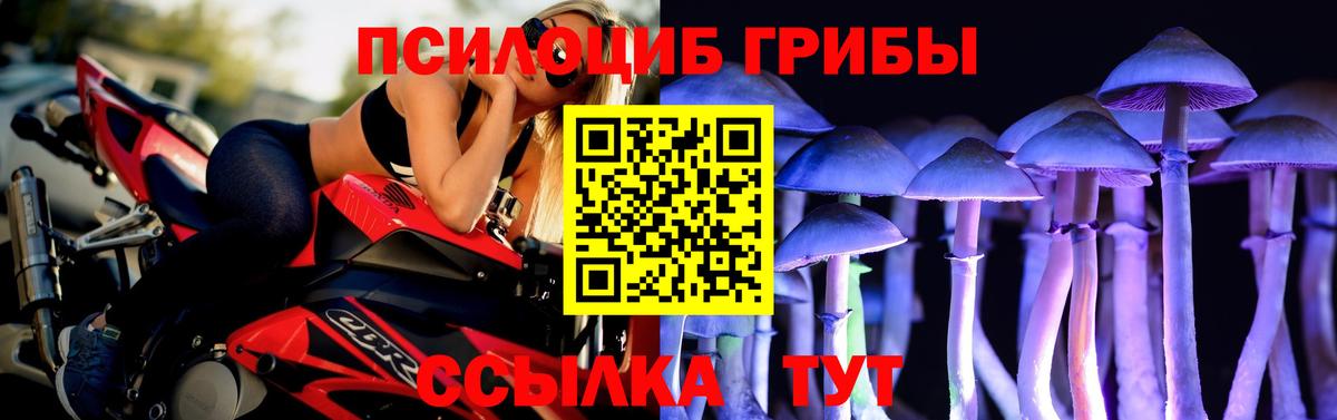 Псилоцибиновые грибы MAGIC MUSHROOMS Тобольск
